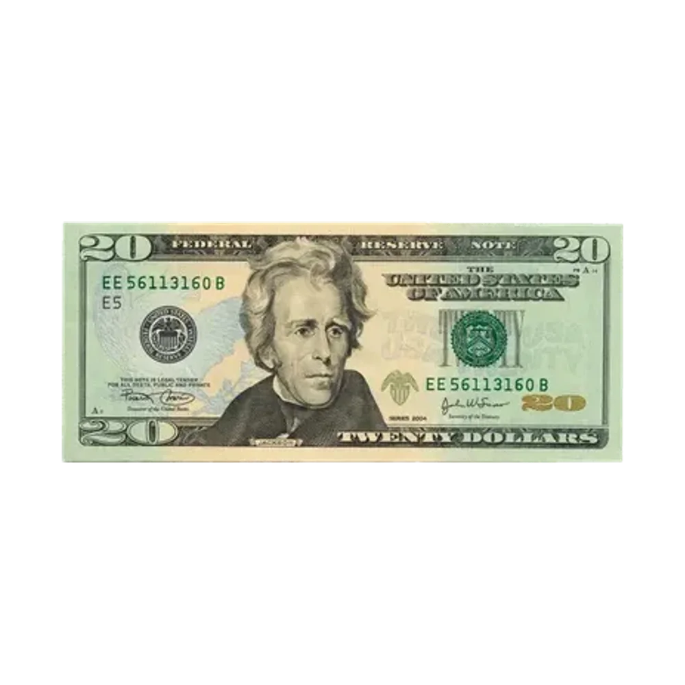 $20 Bill
